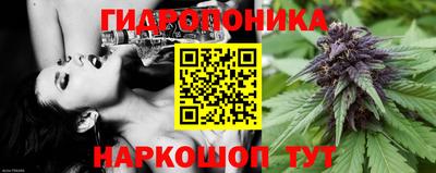 трава Кандалакша