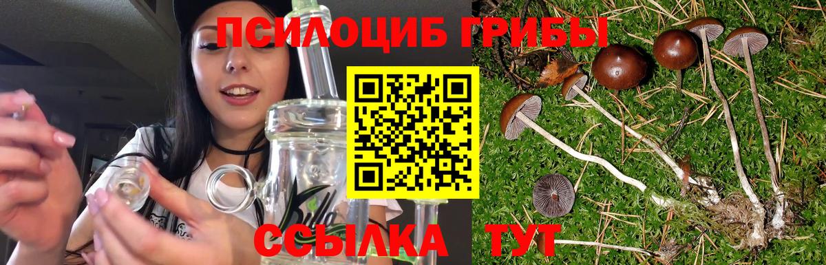 Псилоцибиновые грибы мицелий Лянтор