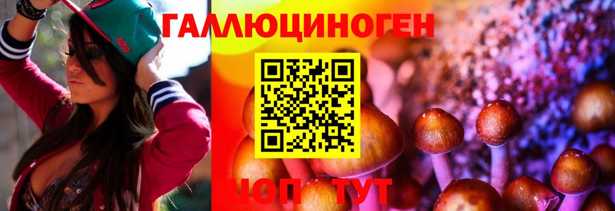Лянтор  Псилоцибиновые грибы прущие грибы  Вход с VPN  Псилоцибиновые грибы мицелий 